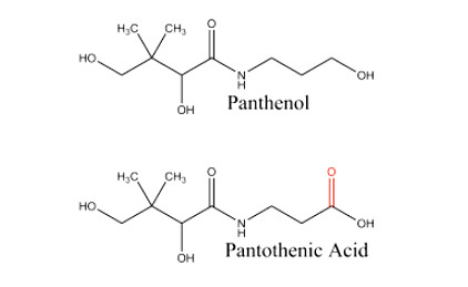 panthenol pantothenic acid
